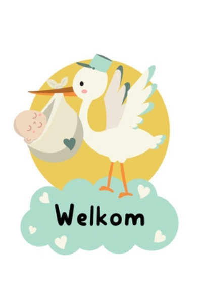 Ooievaar-3-Geboortebordenhaarlo